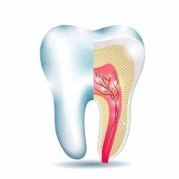 Endodontia-Mobile-1.jpg